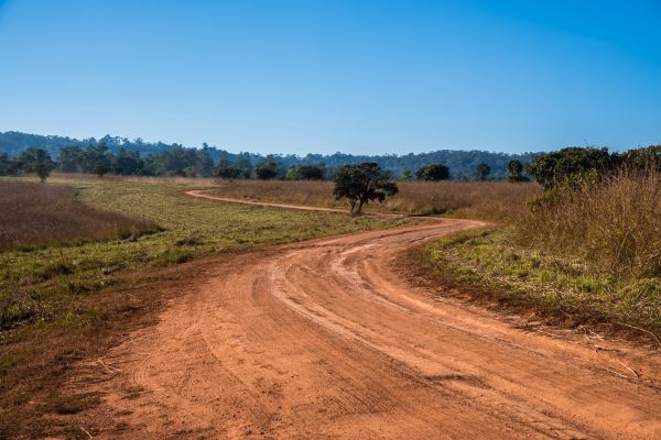 Dirt Driveway Repair in Fairhope