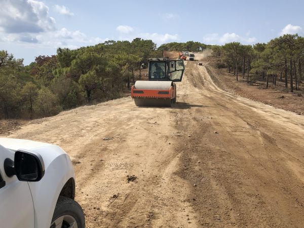 Cost of Driveway Grading in Fairhope