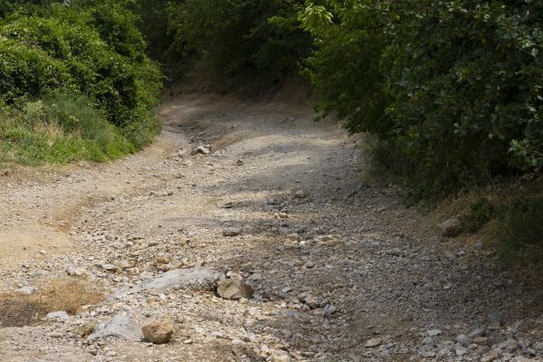 Cost of Gravel Road Pothole Repair in Fairhope