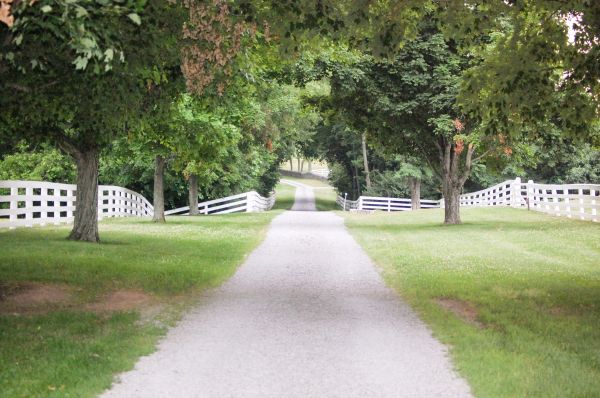 Gravel Driveway Construction in Fairhope