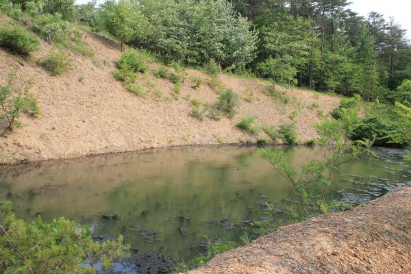 Cost of Pond Erosion Repair in Fairhope