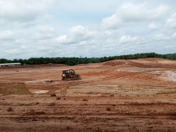 Land Preparation Service in Fairhope